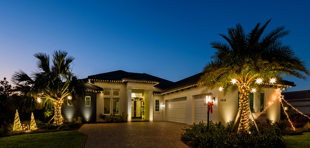 Palm tree string lighting