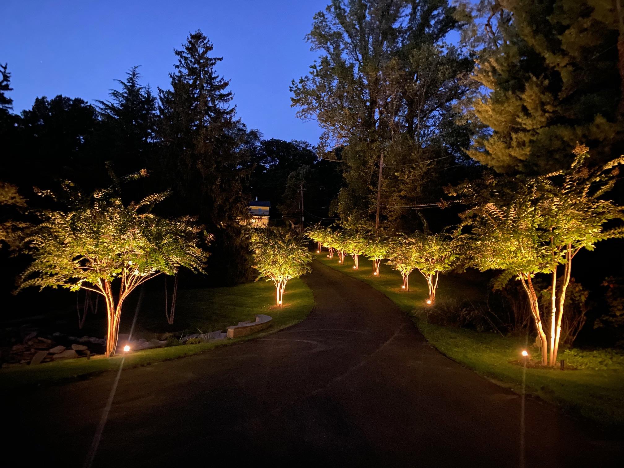 outdoor landscape lighting