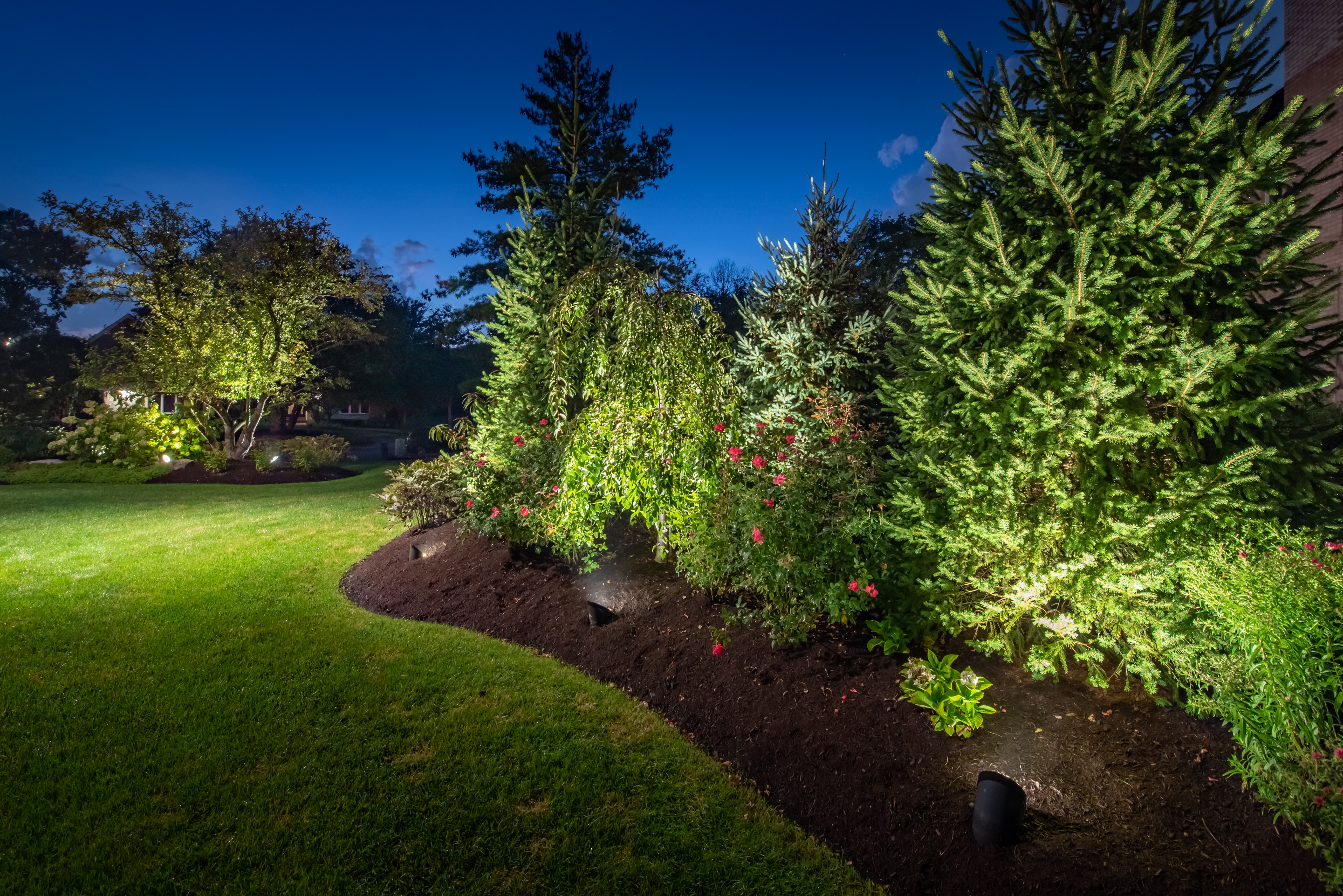 landscape lighting installation in Travelers Rest, SC