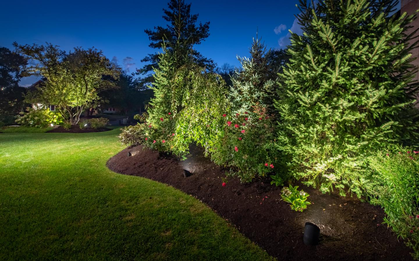 landscape lighting installer in Taylors, SC