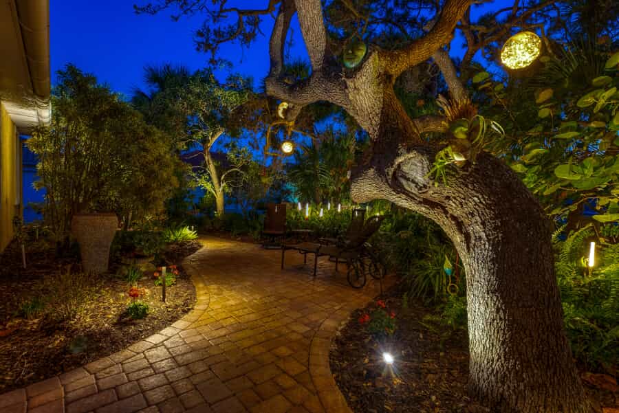 tree with lighting