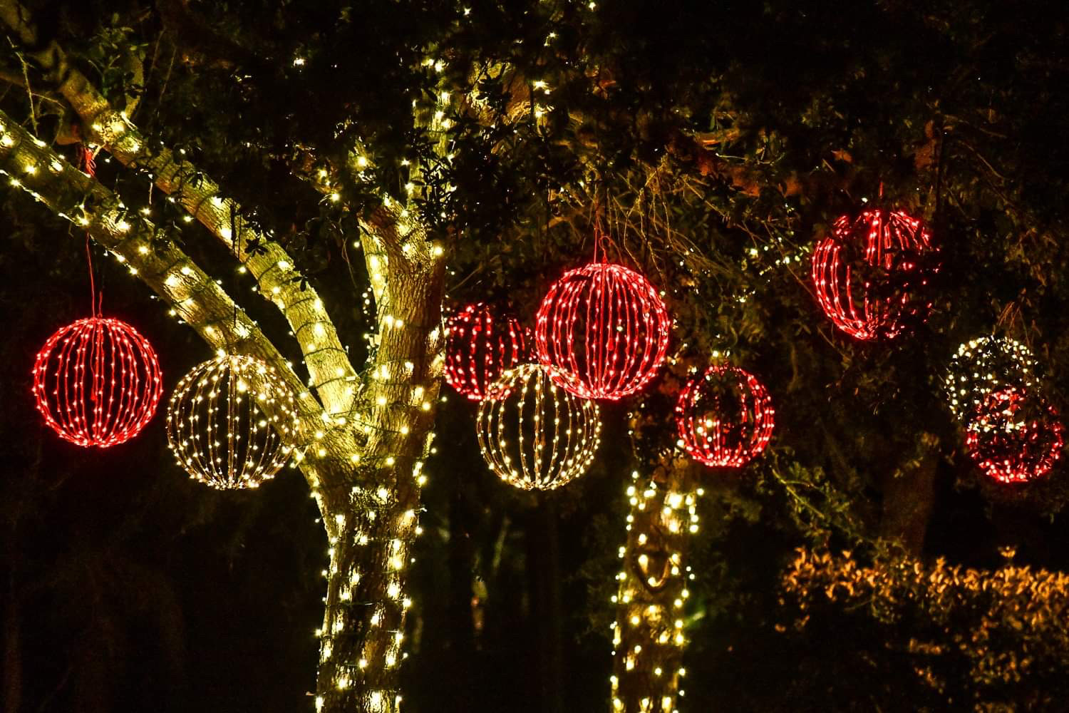 threes with christmas light ornaments