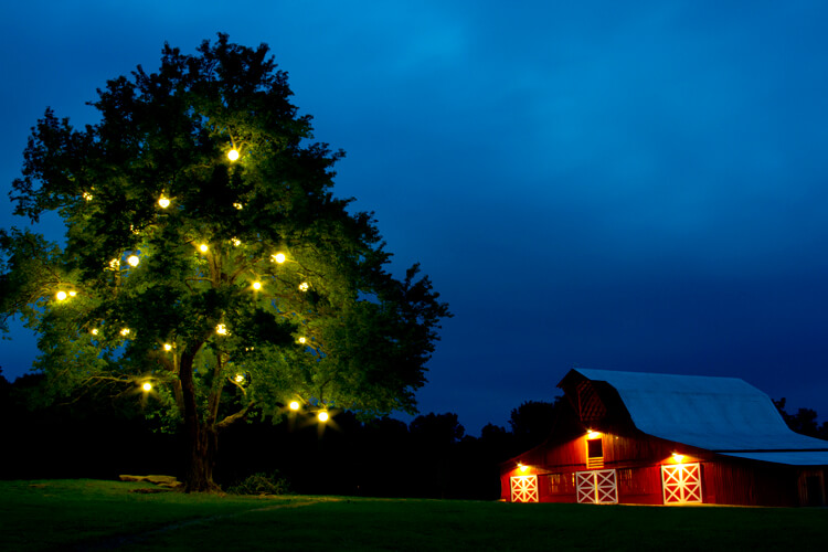 Barn and Tree Lighting