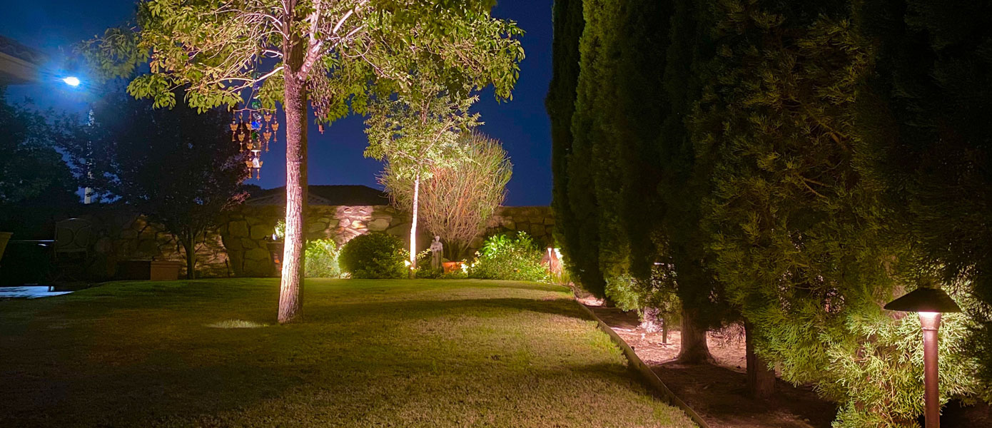 A picture containing tree, outdoor, grass, landscape lightingDescription automatically generated