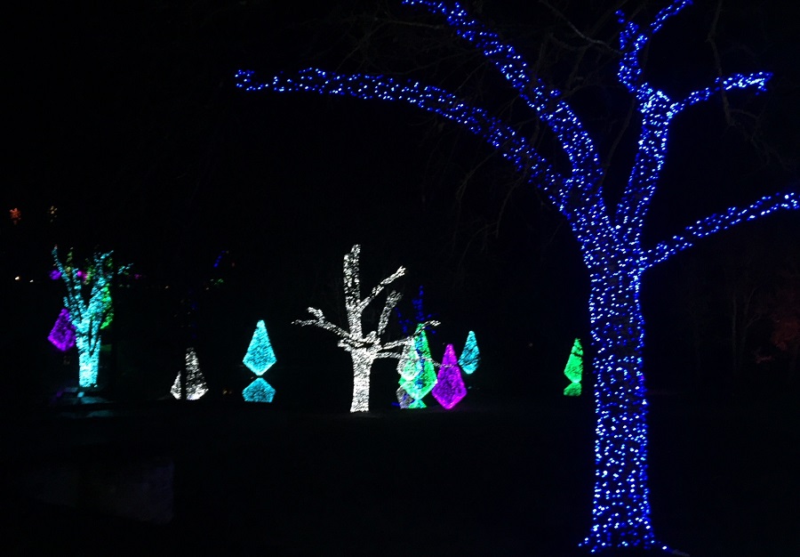 Christmas Lights at Cheekwood Estate