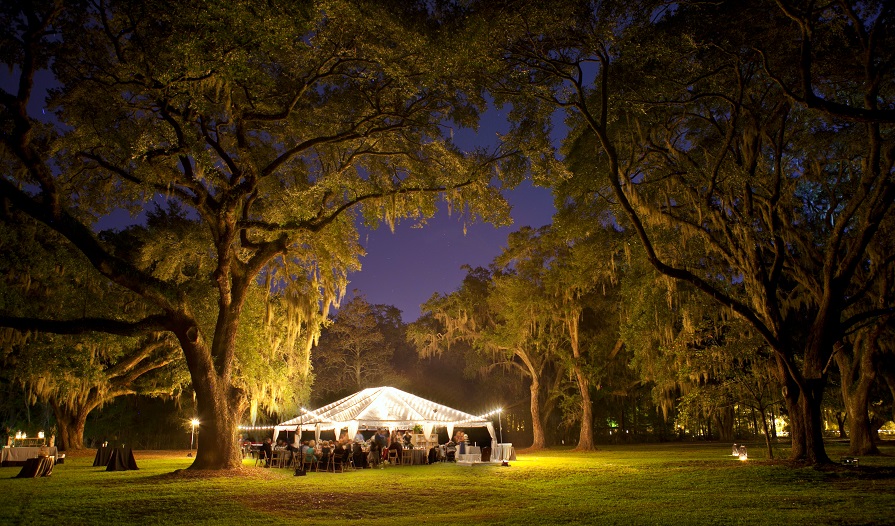 Wedding Reception
