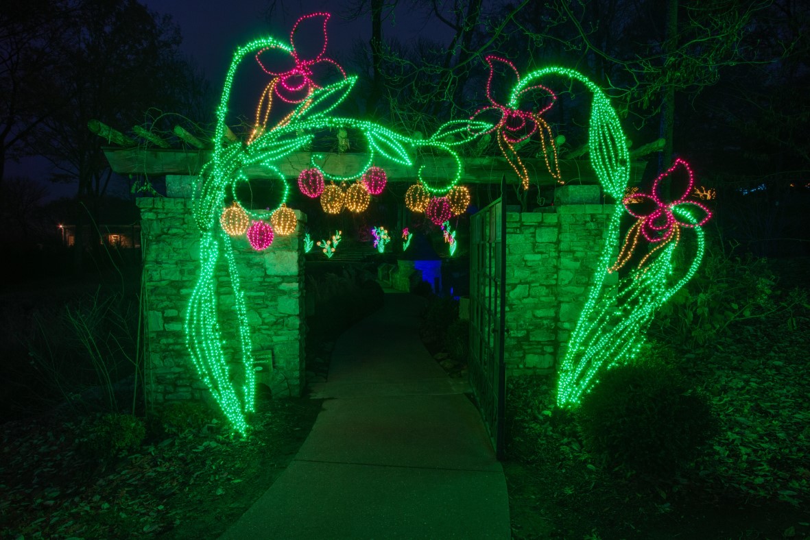 Make plans now to attend the Cheekwood holiday lighting event. 