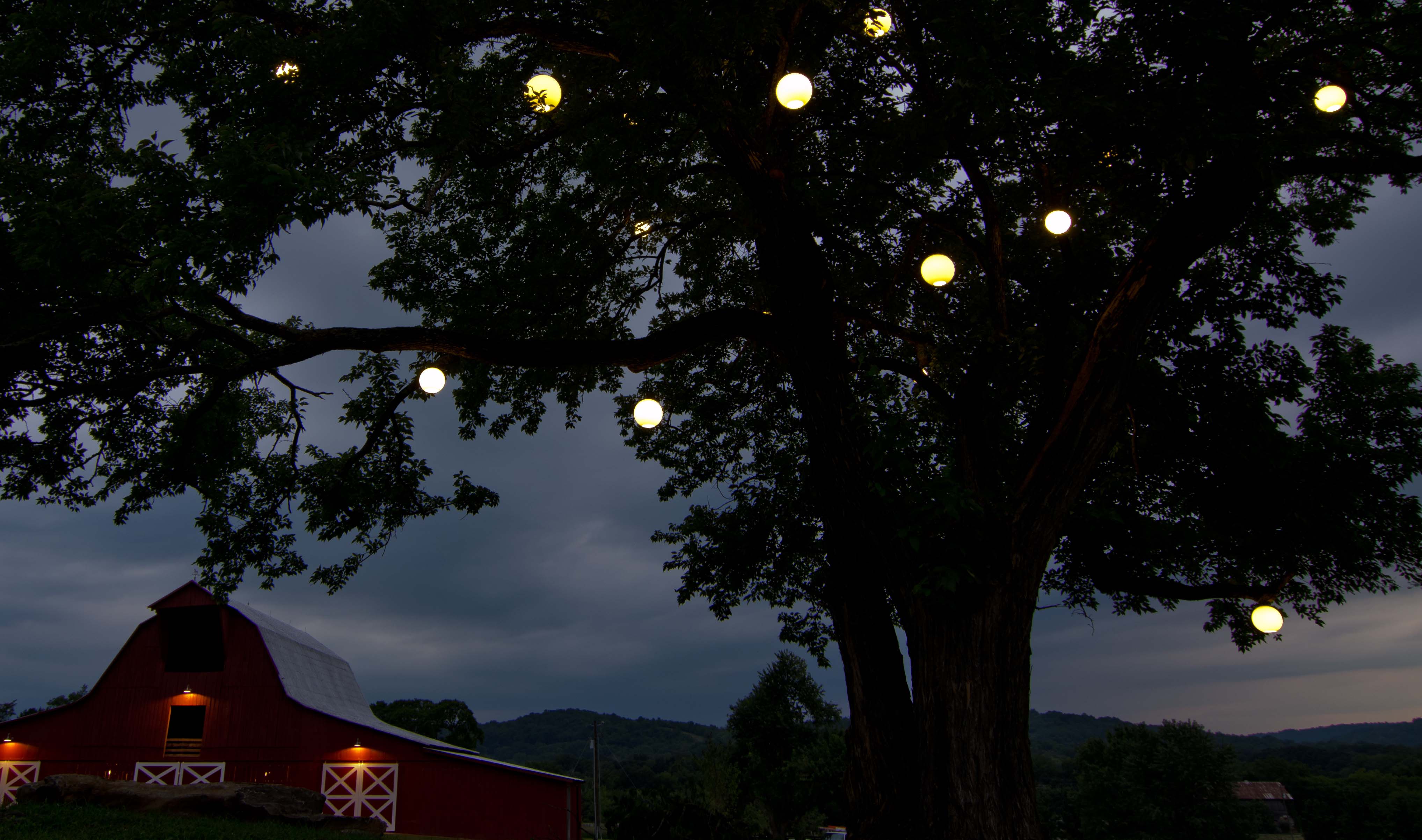 outdoor lighting in tree