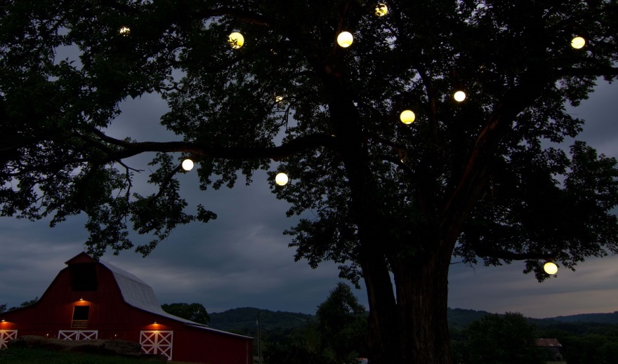 Satisfied Outdoor Lighting Perspectives of Nashville clients.