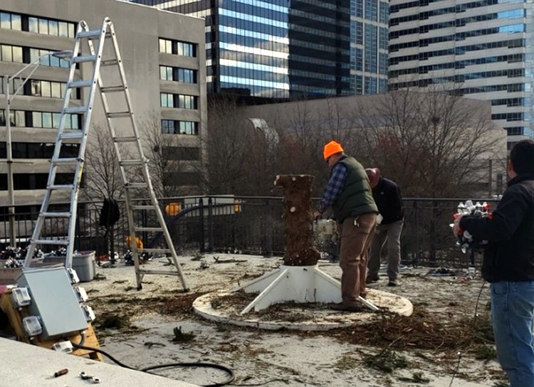 Capitol Christmas tree becomes mulch for local parks