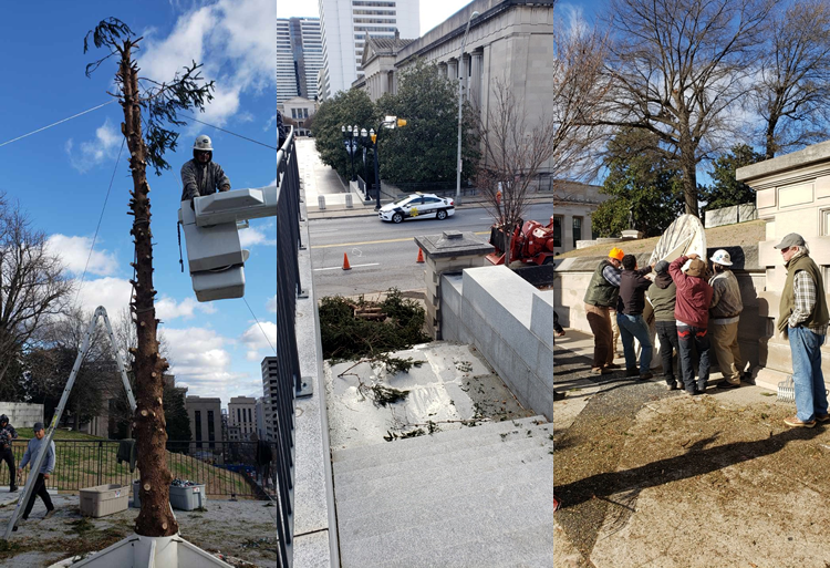 Nashville capitol Christmas tree removal and recycling