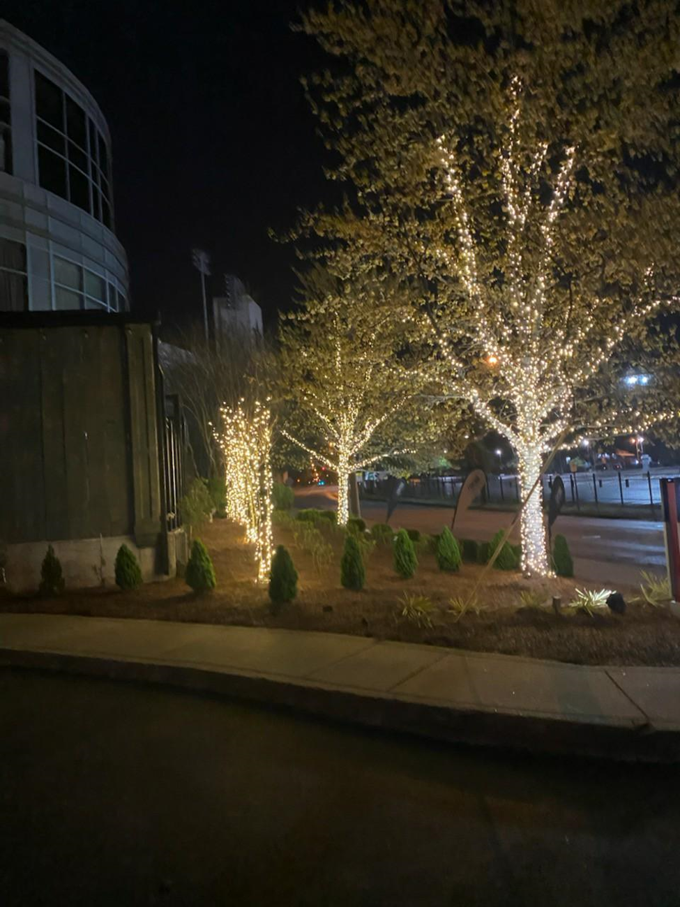 tree lighting for commercial buildings