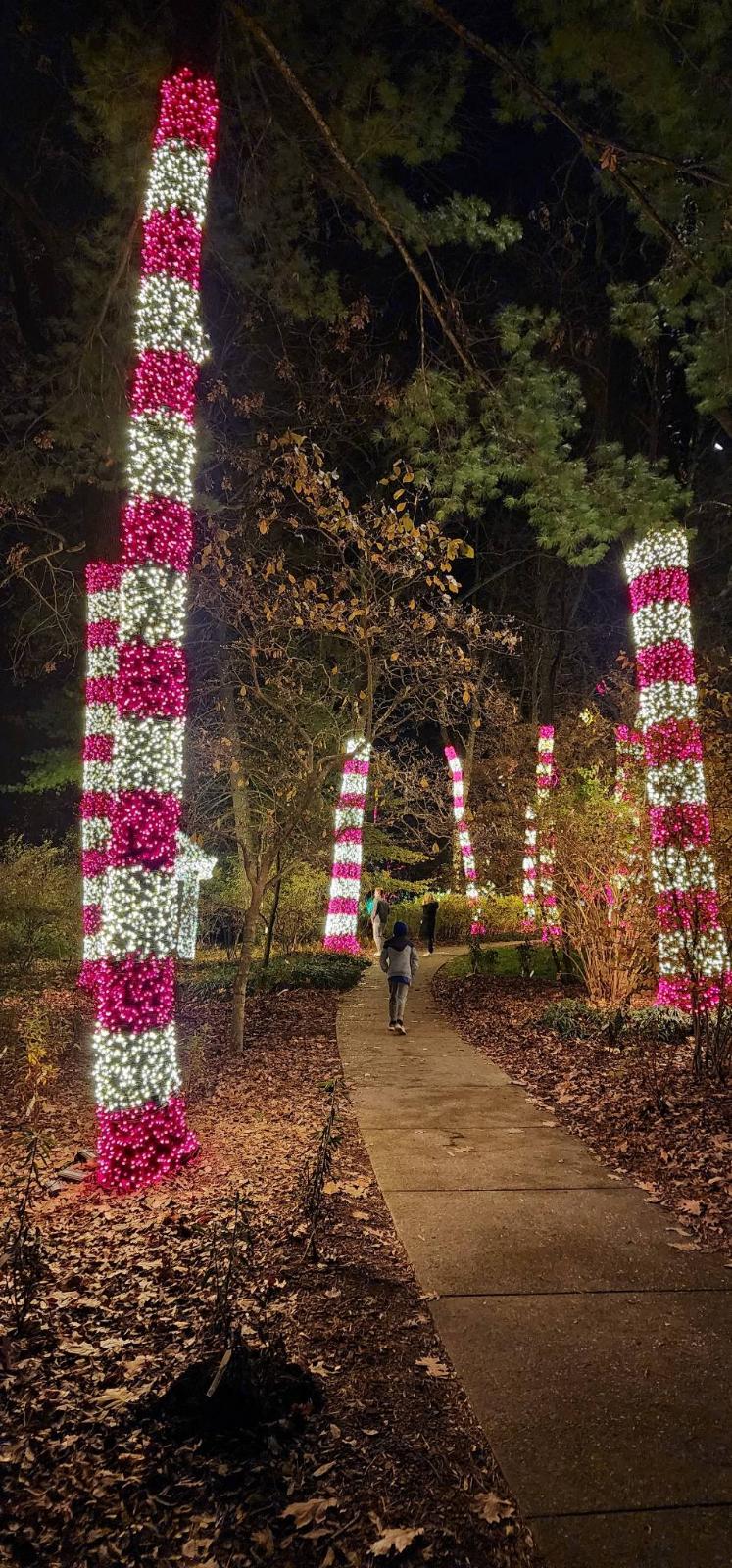candy cane holiday lights at cheekwood