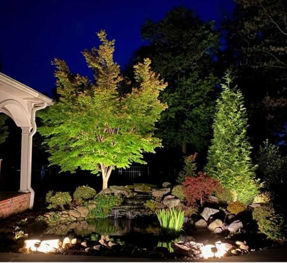 pond surrounded by trees and plants lit by OLP lighting