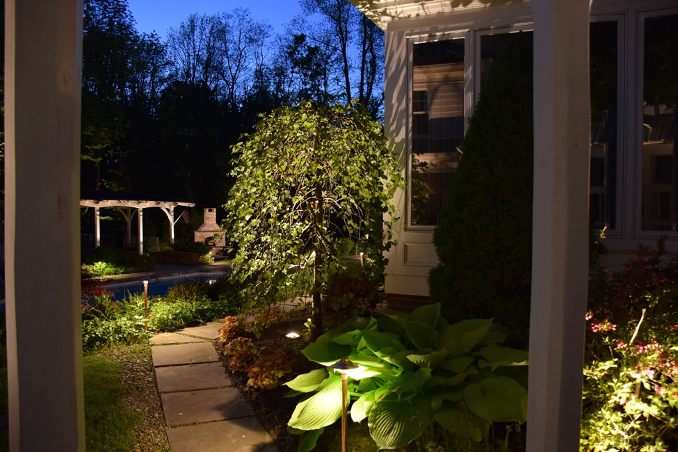 backyard path and tree lighting