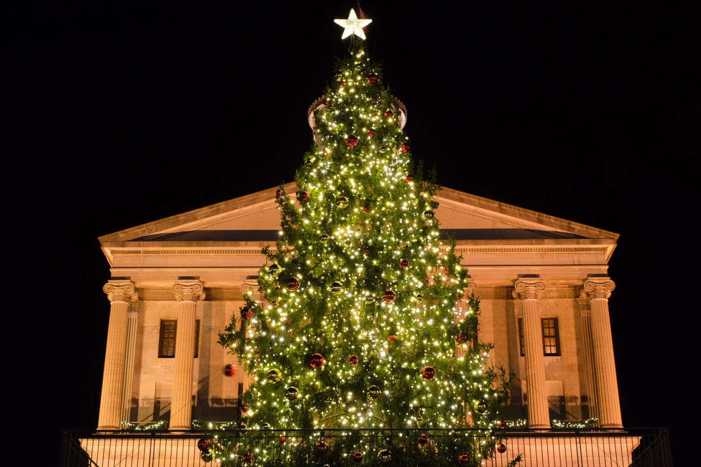 lit up tree