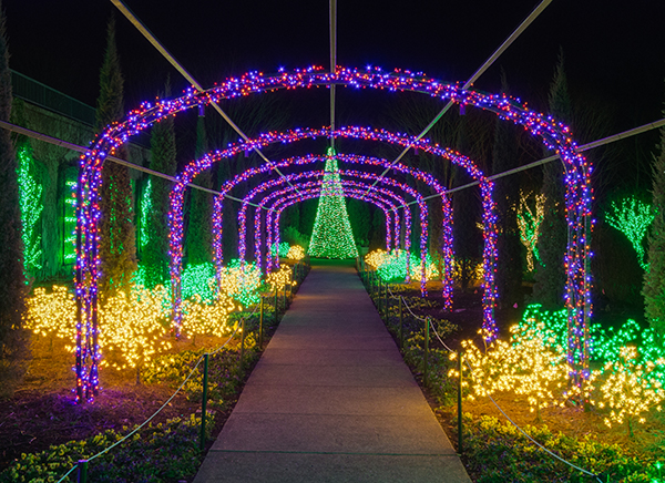 Make plans now to attend the Cheekwood holiday lighting event.