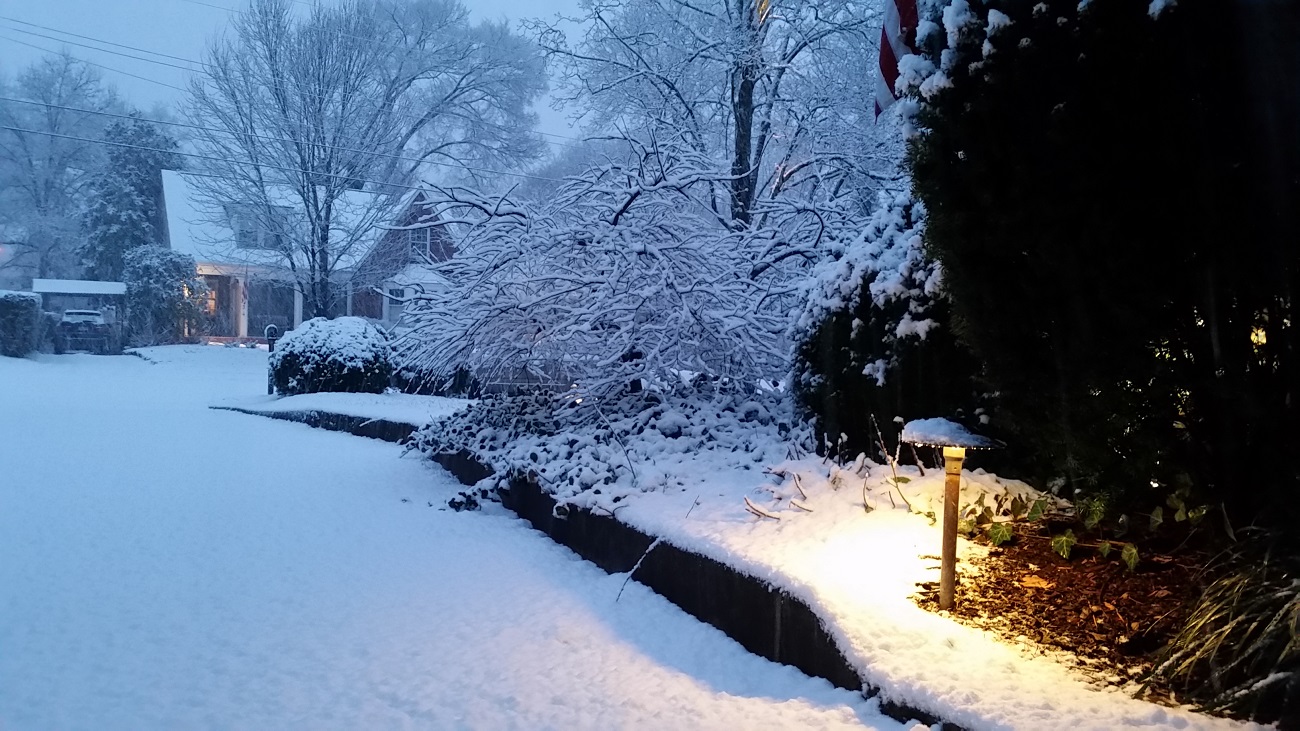 winter landscape lighting