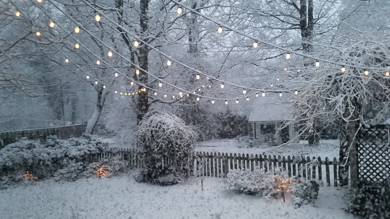 winter landscape with bistro lighting