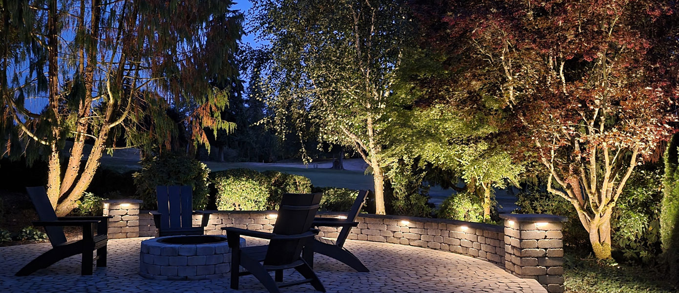 A picture containing outdoor, ground, tree, plantDescription automatically generated
