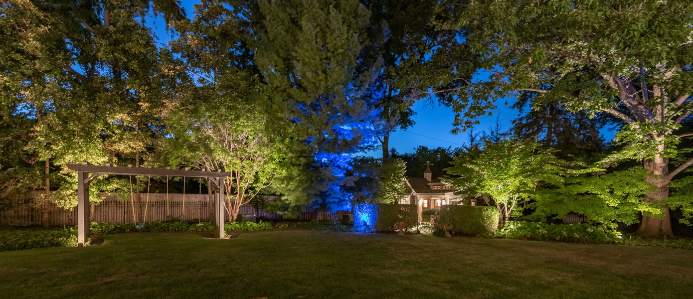 A picture containing outdoor, grass, night, skyDescription automatically generated