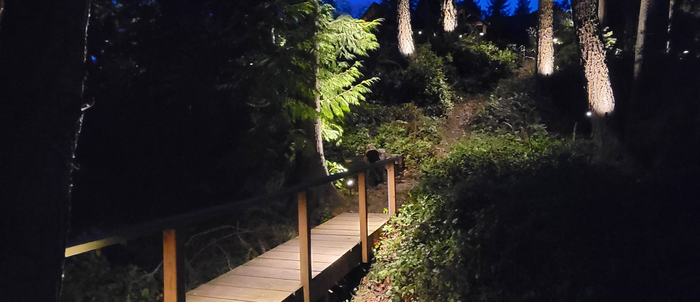 a bridge illuminated by outdoor lighting 