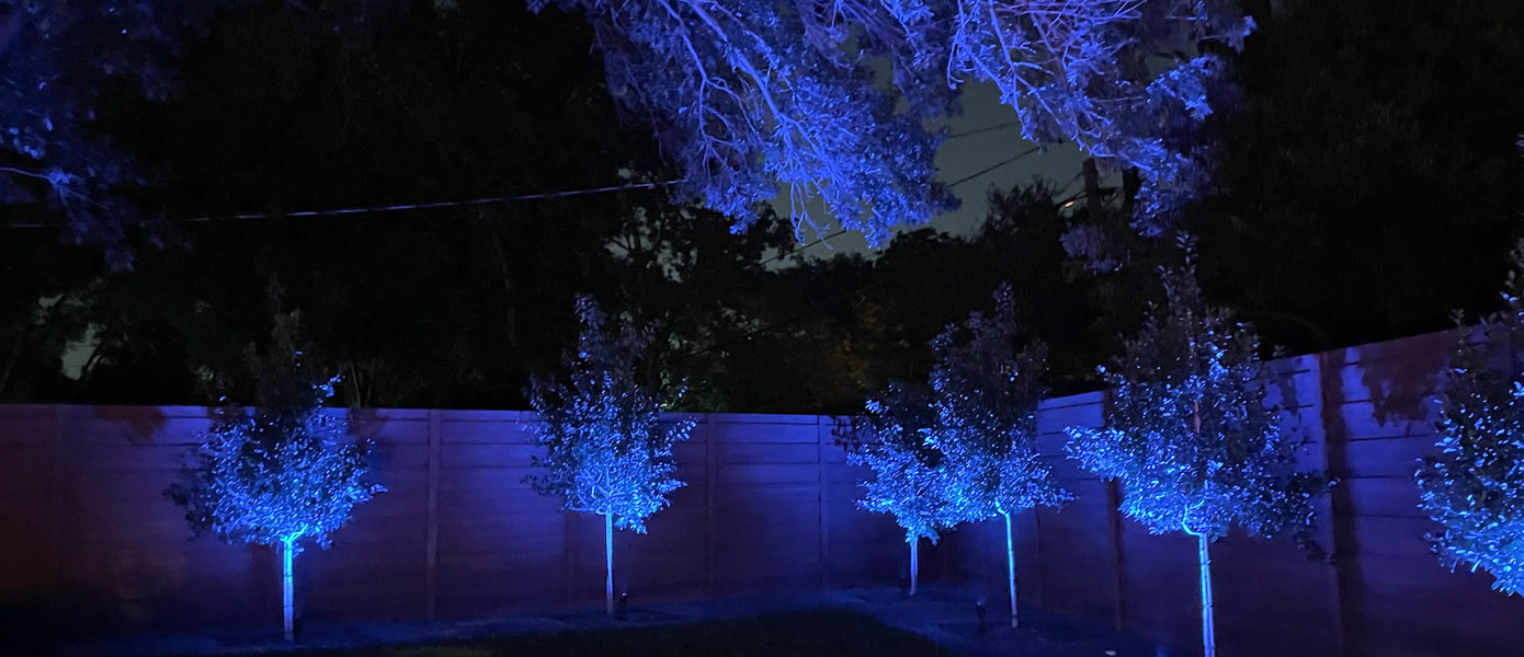 Trees with blue lights on trees with Reed Flute Cave in the backgroundDescription automatically generated