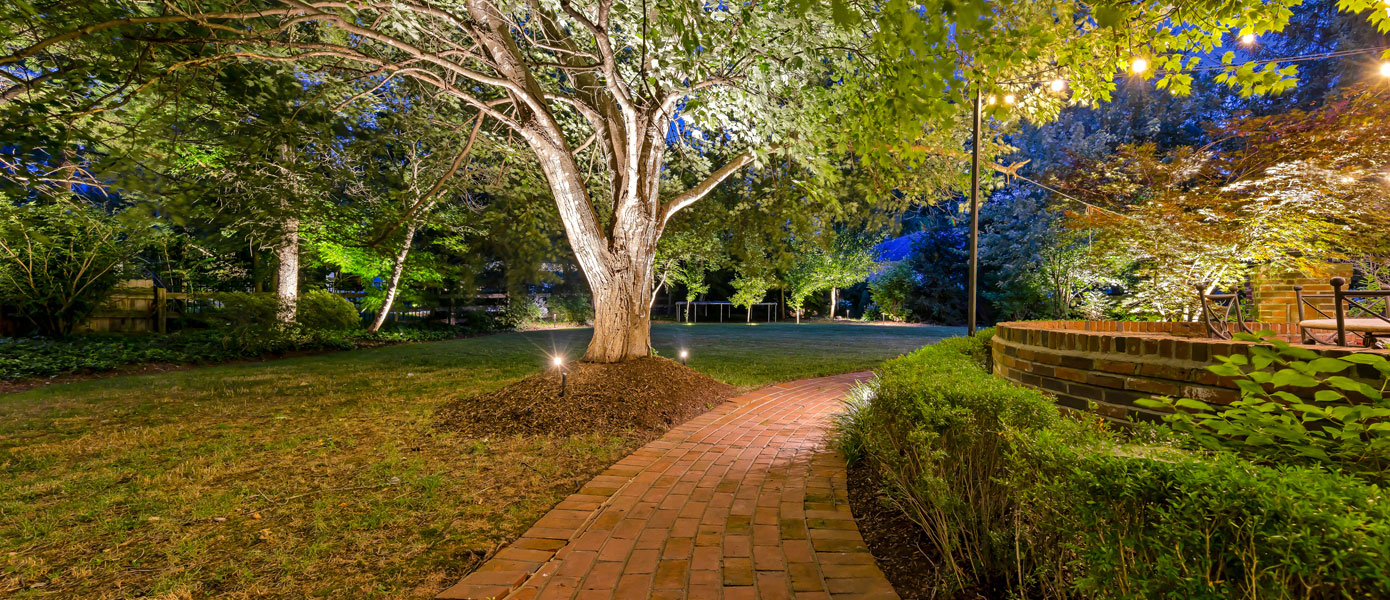 outdoor landscape lighting around pathway and tree
