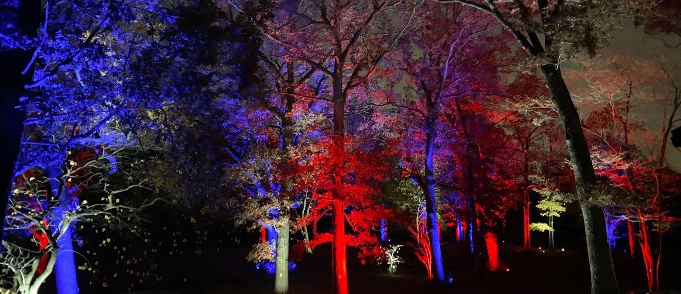 Palatine IL Landscape Lighting 