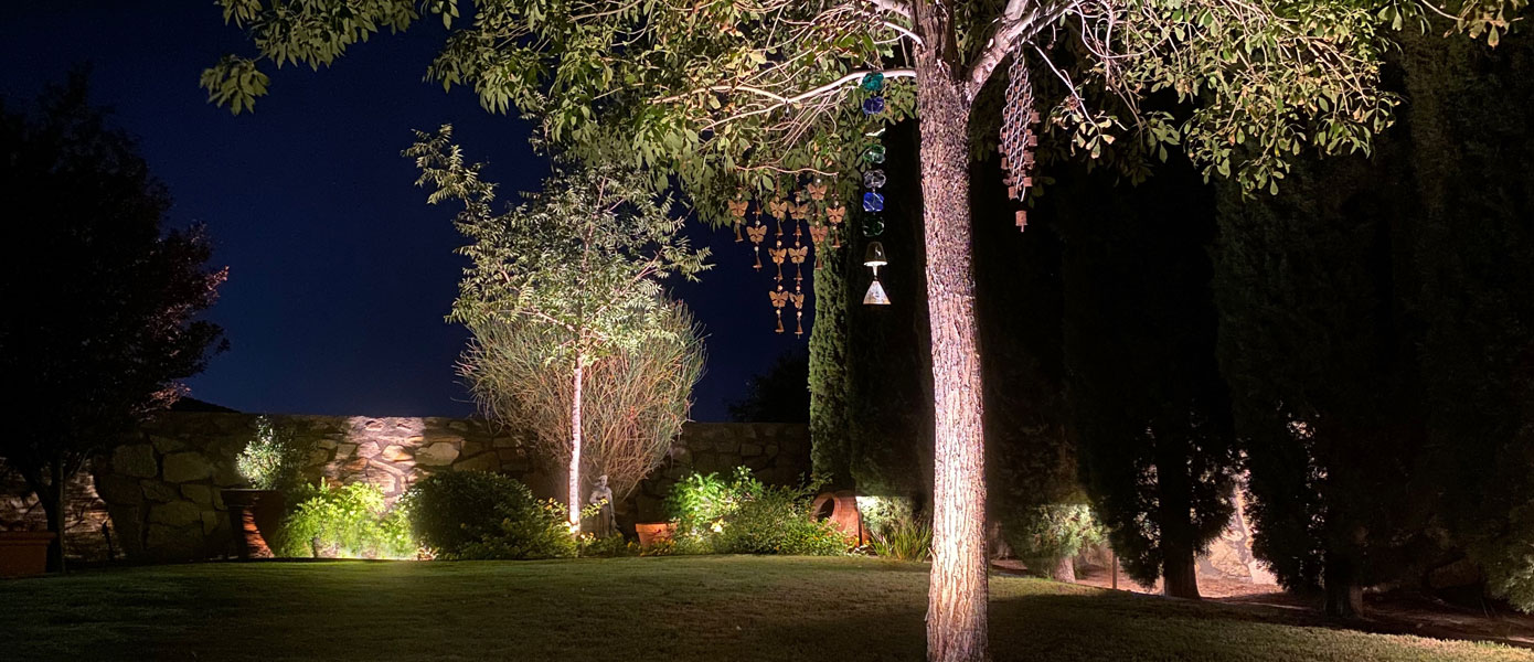 A picture containing outdoor, grass, night, skyDescription automatically generated