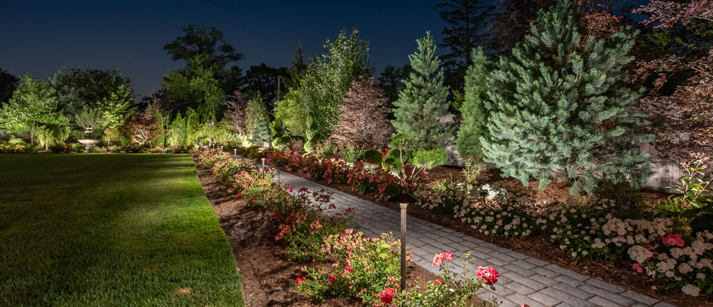 A picture containing grass, landscaping, outdoor, treeDescription automatically generated