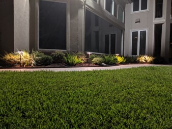 pearland path lighting and downlighting 
