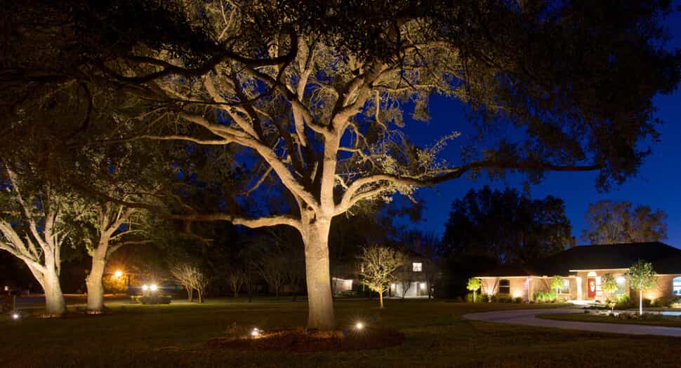 Landscape lighting