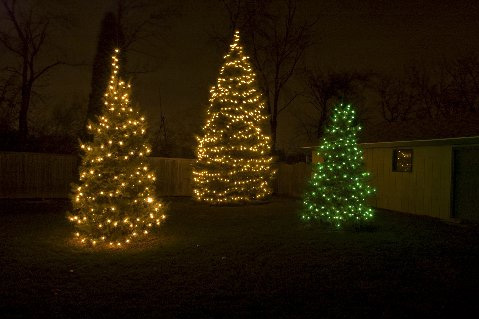 Tree Holiday Lighting