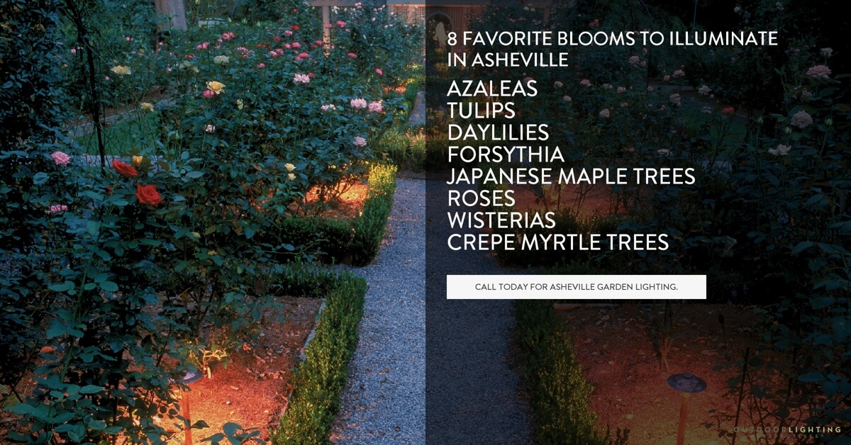 Garden Lighting