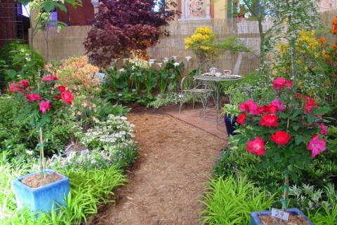 Garden with pathway