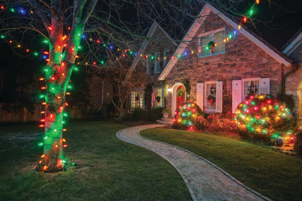 pittsburgh outdoor christmas lights on trees and bushes