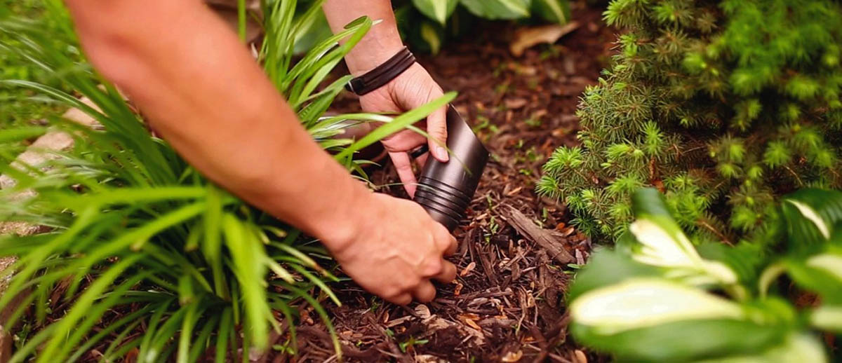 burying lights in garden