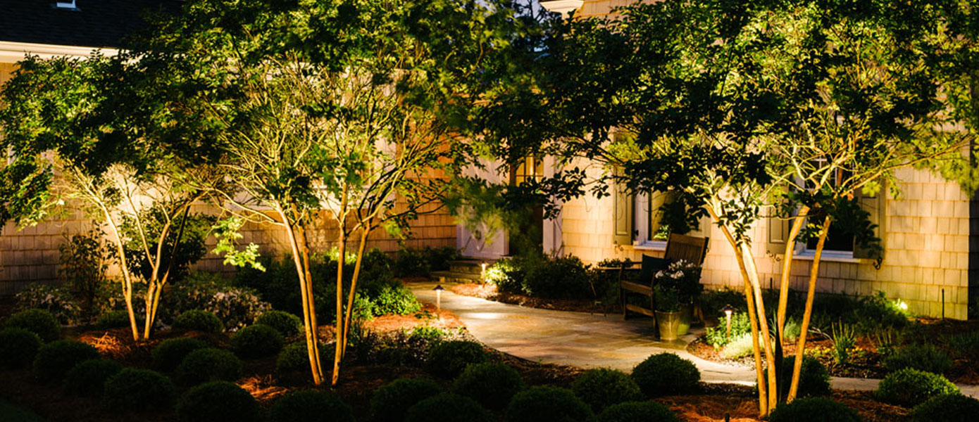 tree uplighting in cary nc