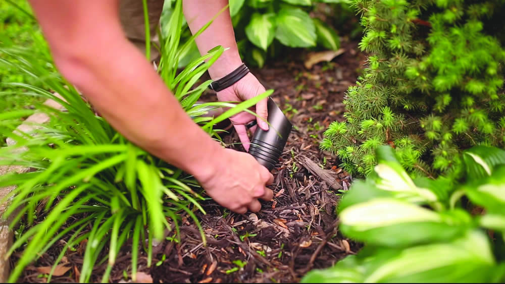 Professionally installed lighting is best for outdoors