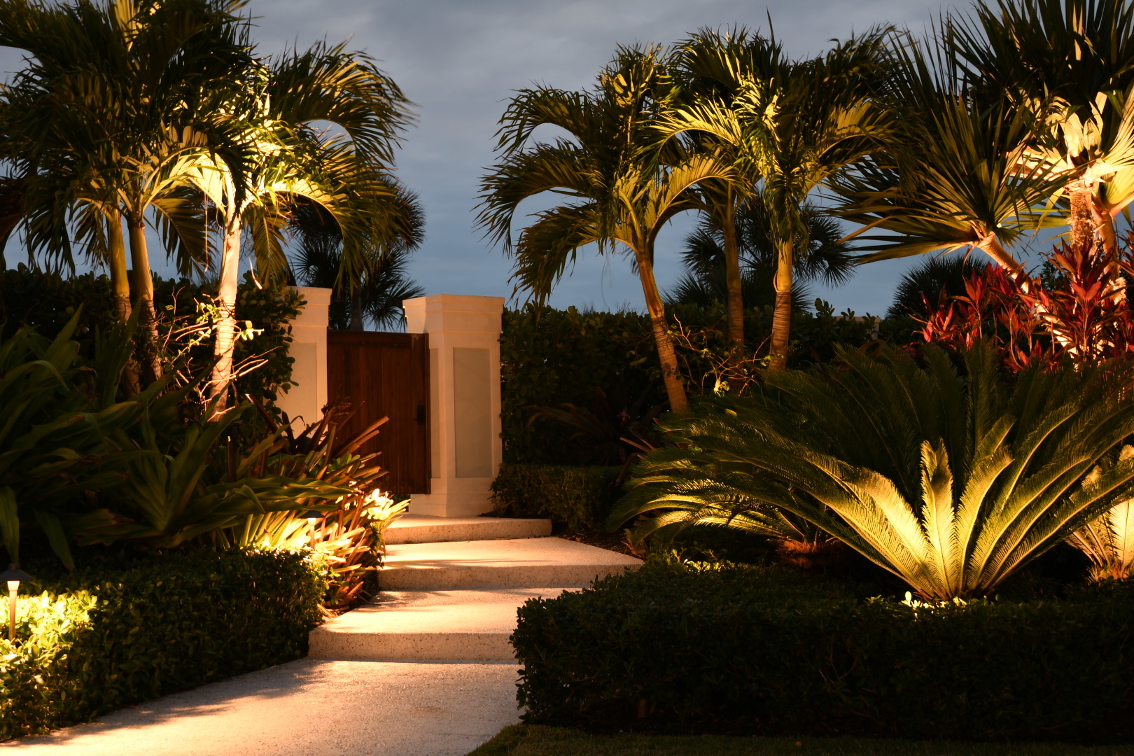 Marco Island Palm Tree Lighting Project