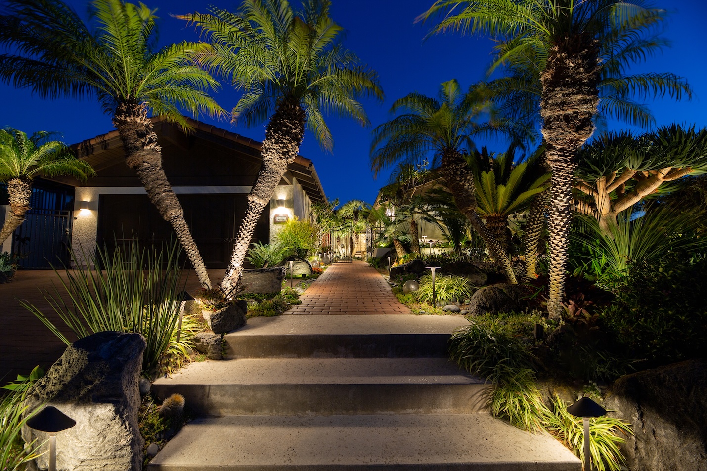 palm tree lighting lely resort naples