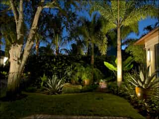 Garden with beautiful outdoor lighting