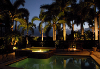A pool surrounded by palm trees with beautiful outdoor lighting