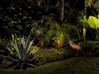 Outside garden with uplights
