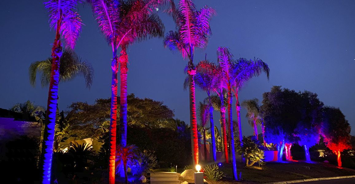 color-changing Palm Tree lighting in Boca Grande, FL