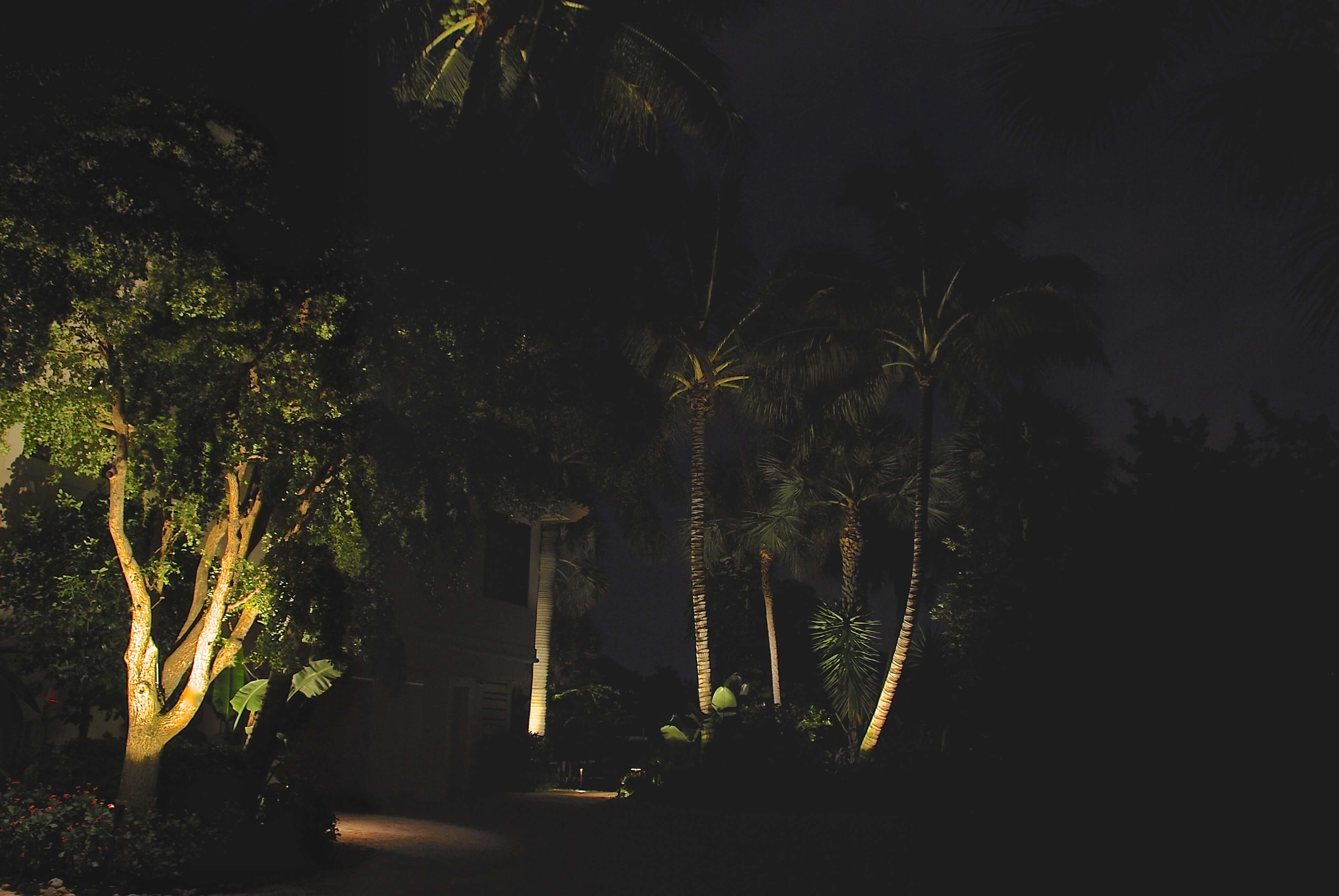 Side of House Lighting