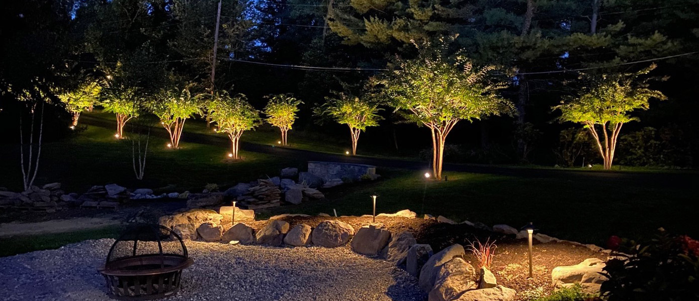 garden lighting around trees in Columbus OH