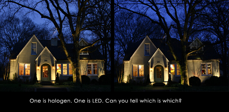 Halogen Verse LED comparison