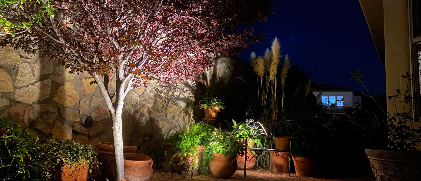 A picture containing outdoor, flowerpot, building, houseplantDescription automatically generated